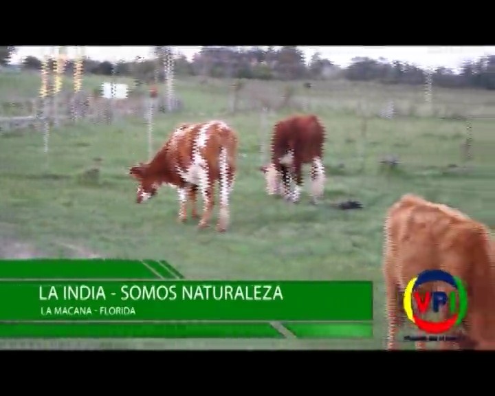 Programa 129 – 3/3/2017